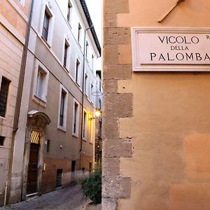 Imperium Suite Navona